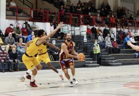 Korihait – Seagulls 70-96